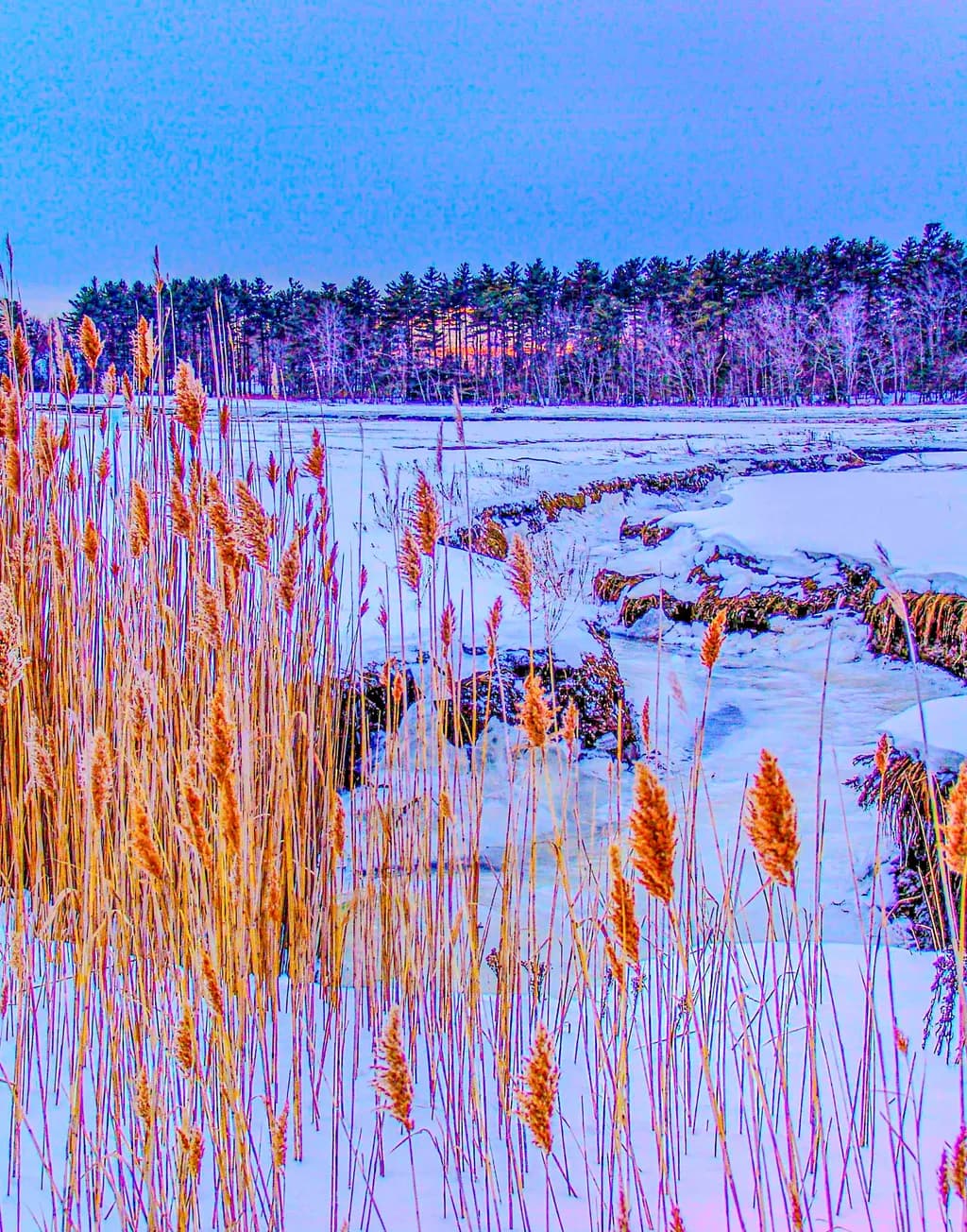 Winter Marsh Sunset