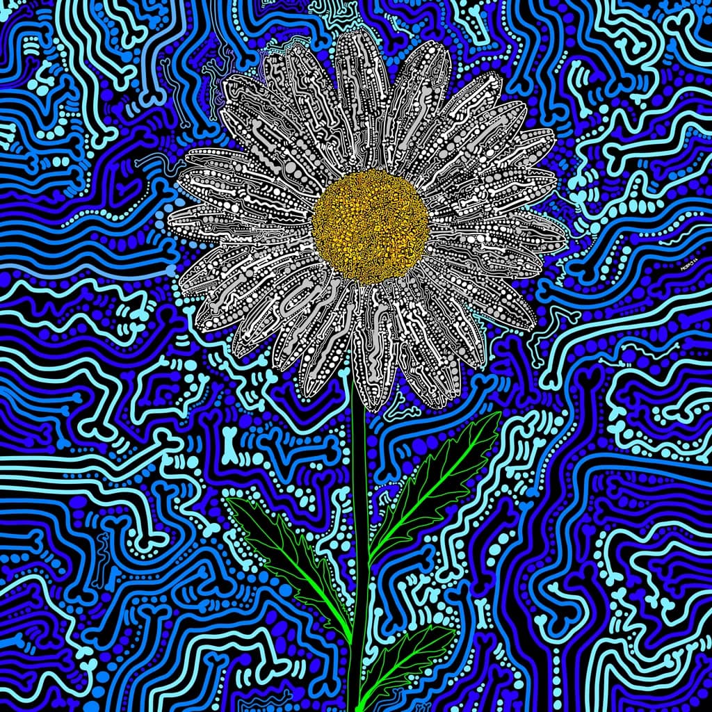 DAISY - TOMORROW’S HARVEST/CITY WALLS GALLERY
