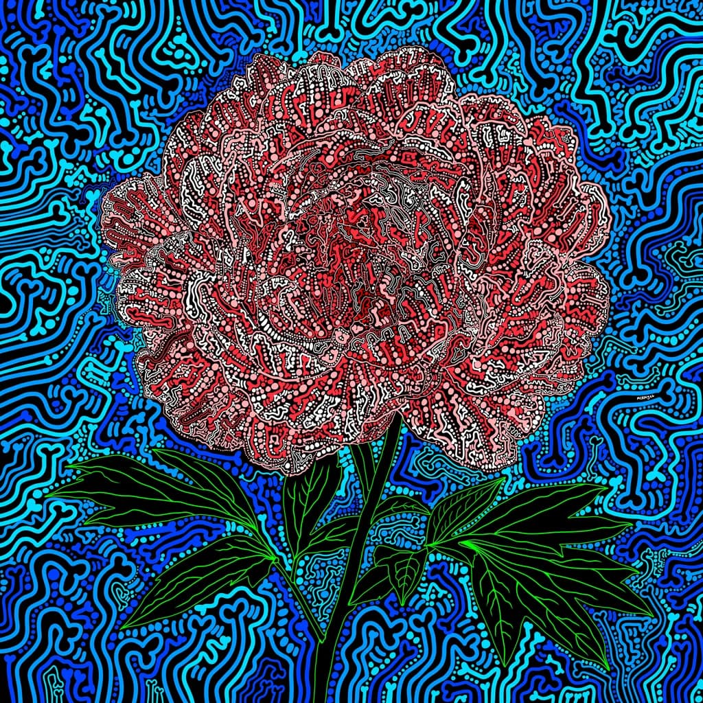 PEONY - TOMORROW’S HARVEST/CITY WALLS GALLERY