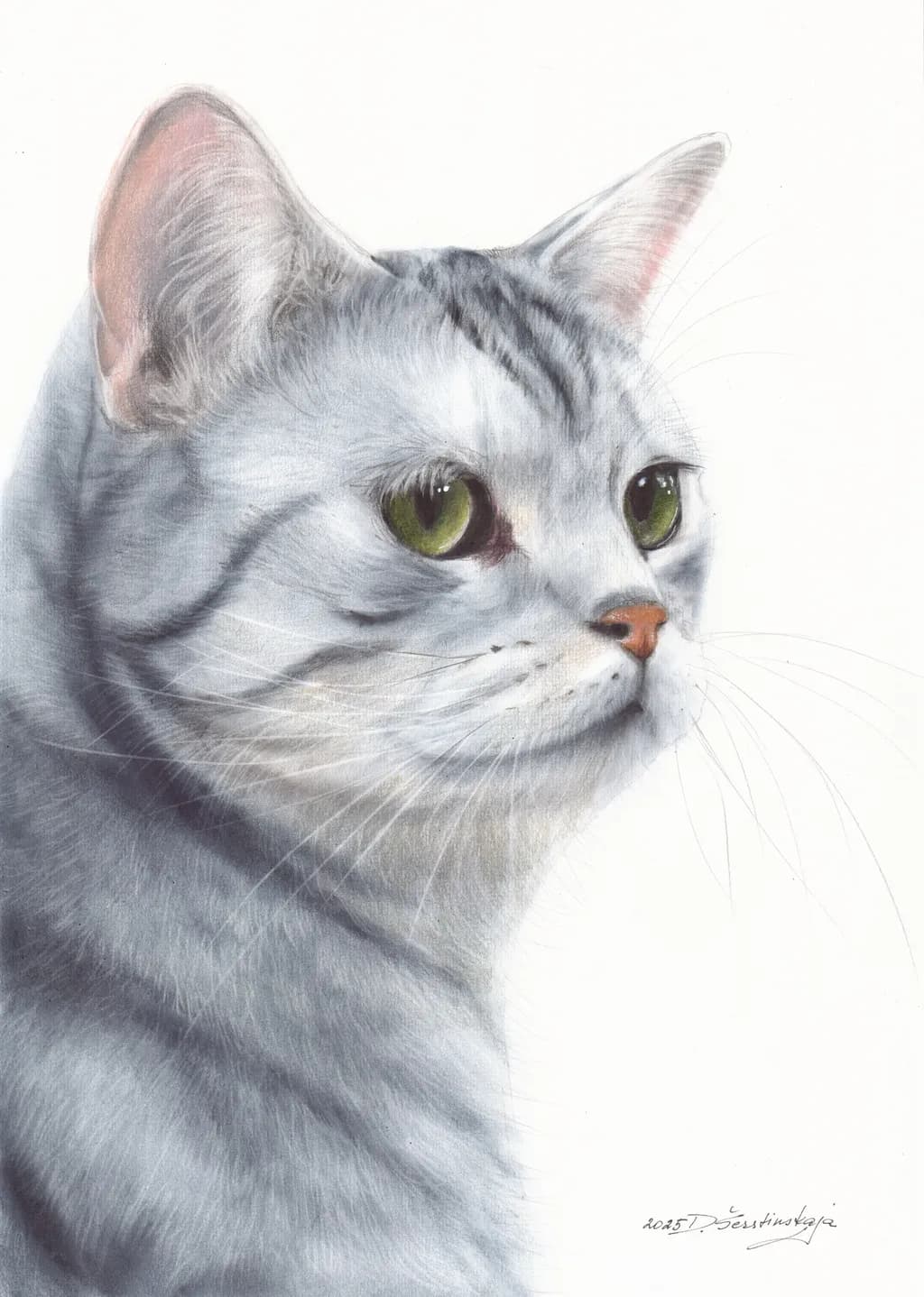 Kiperis - Commissioned Cat Portrait, Oil Painting on Paper
