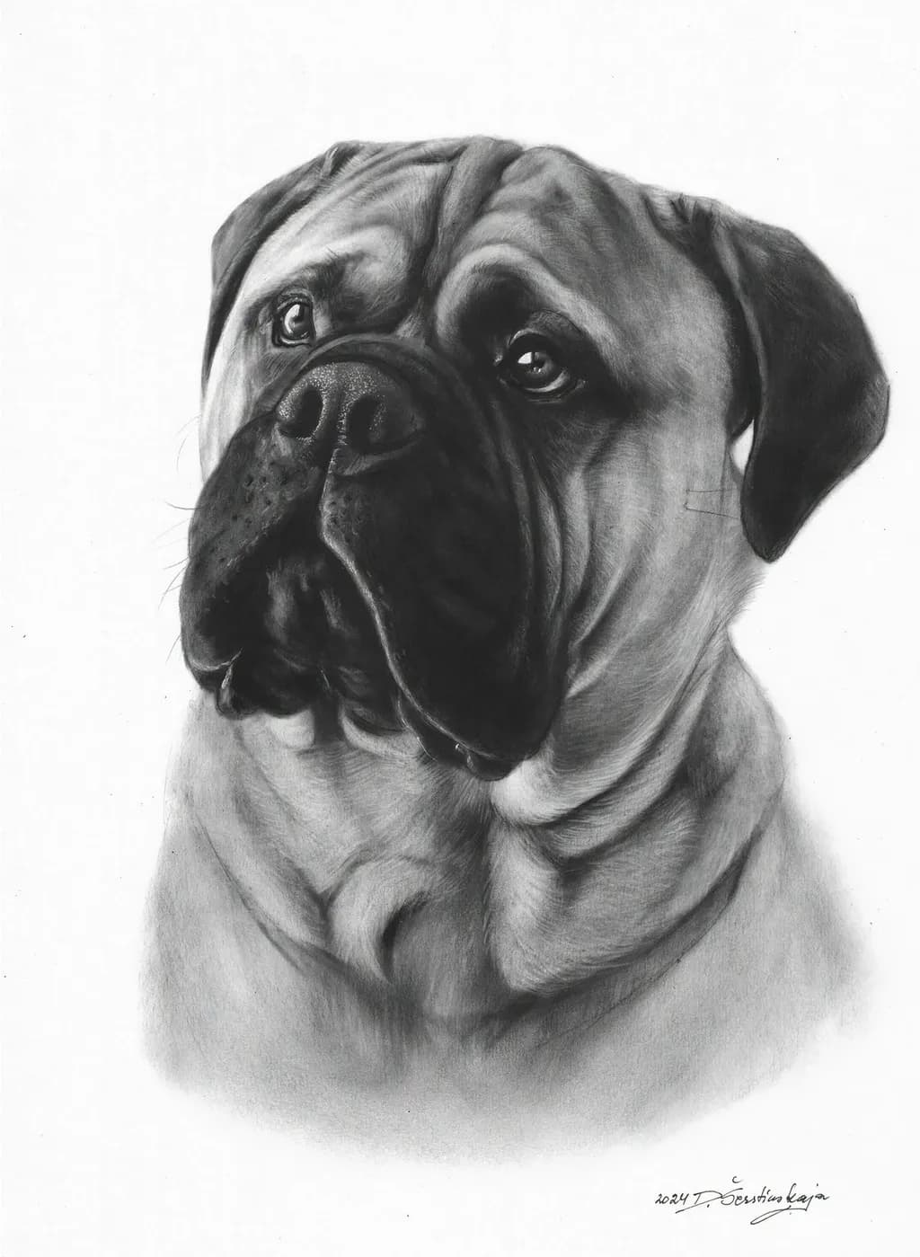 Bullmastiff Portrait Oil Painting on Paper