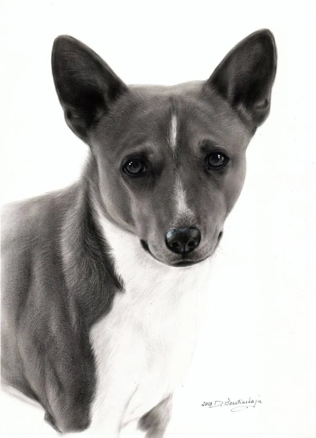 Basenji Banjoko Commissioned Oil Painting