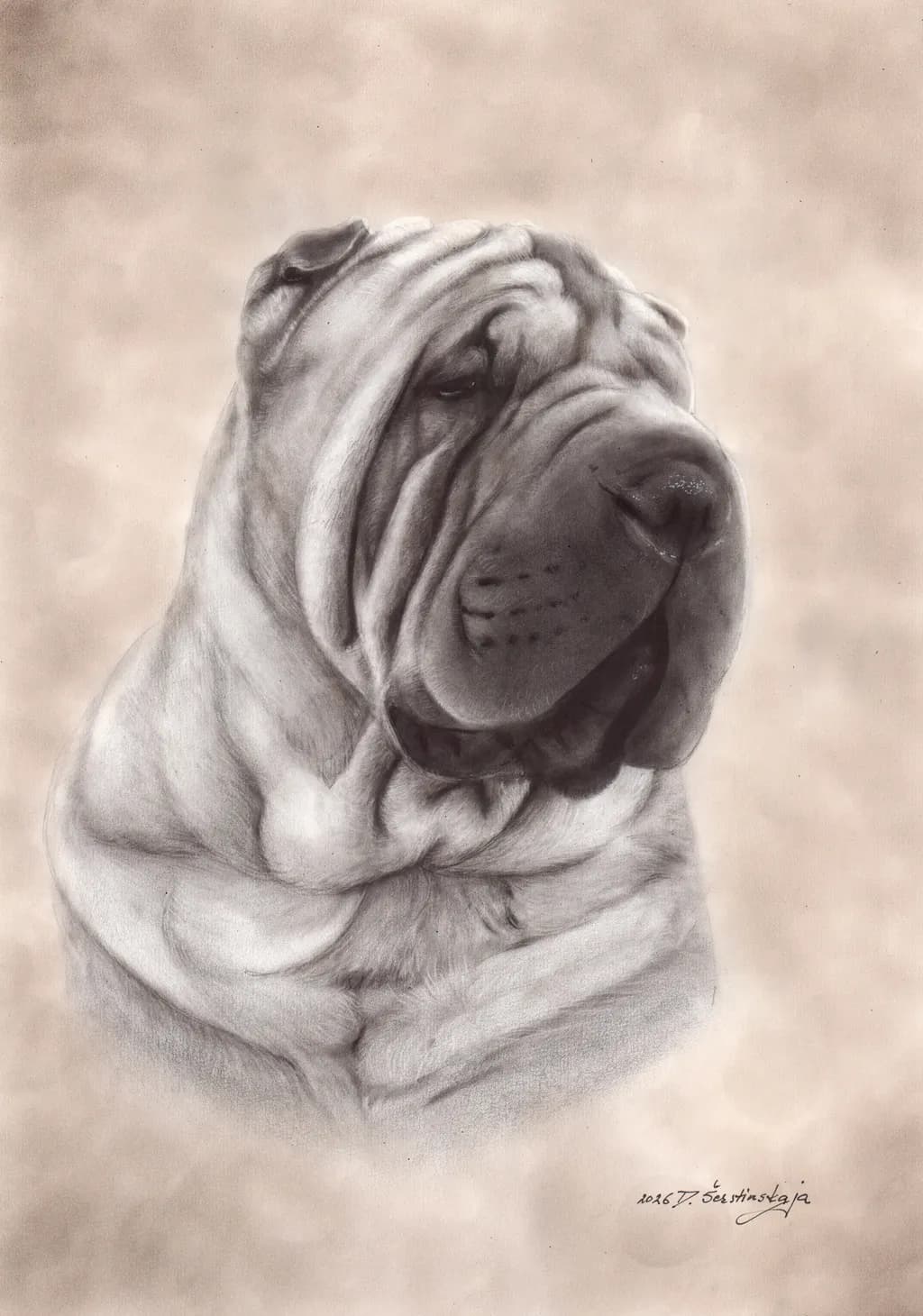 Shar Pei - Commissioned Oil Painting on Paper