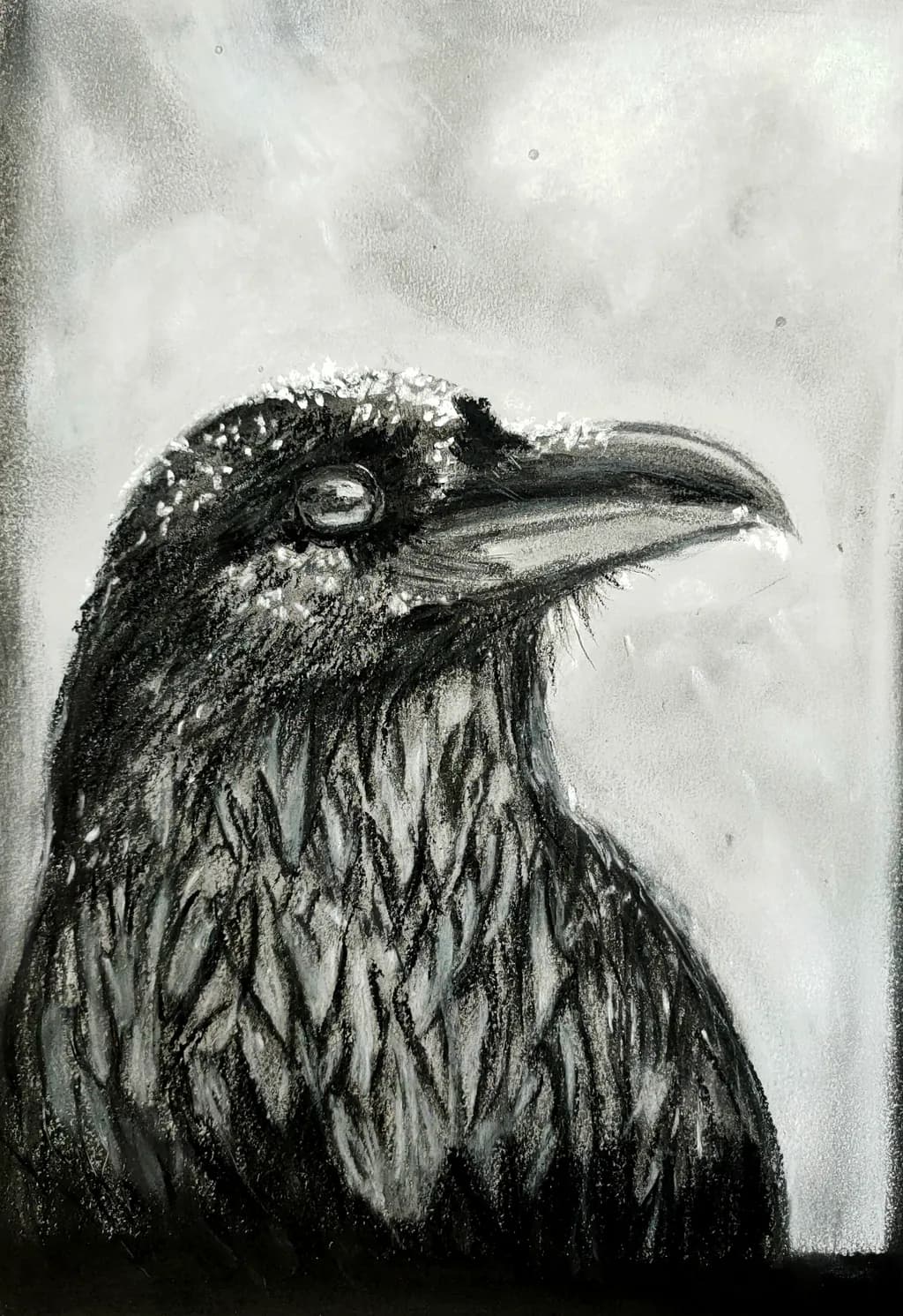 RAVEN