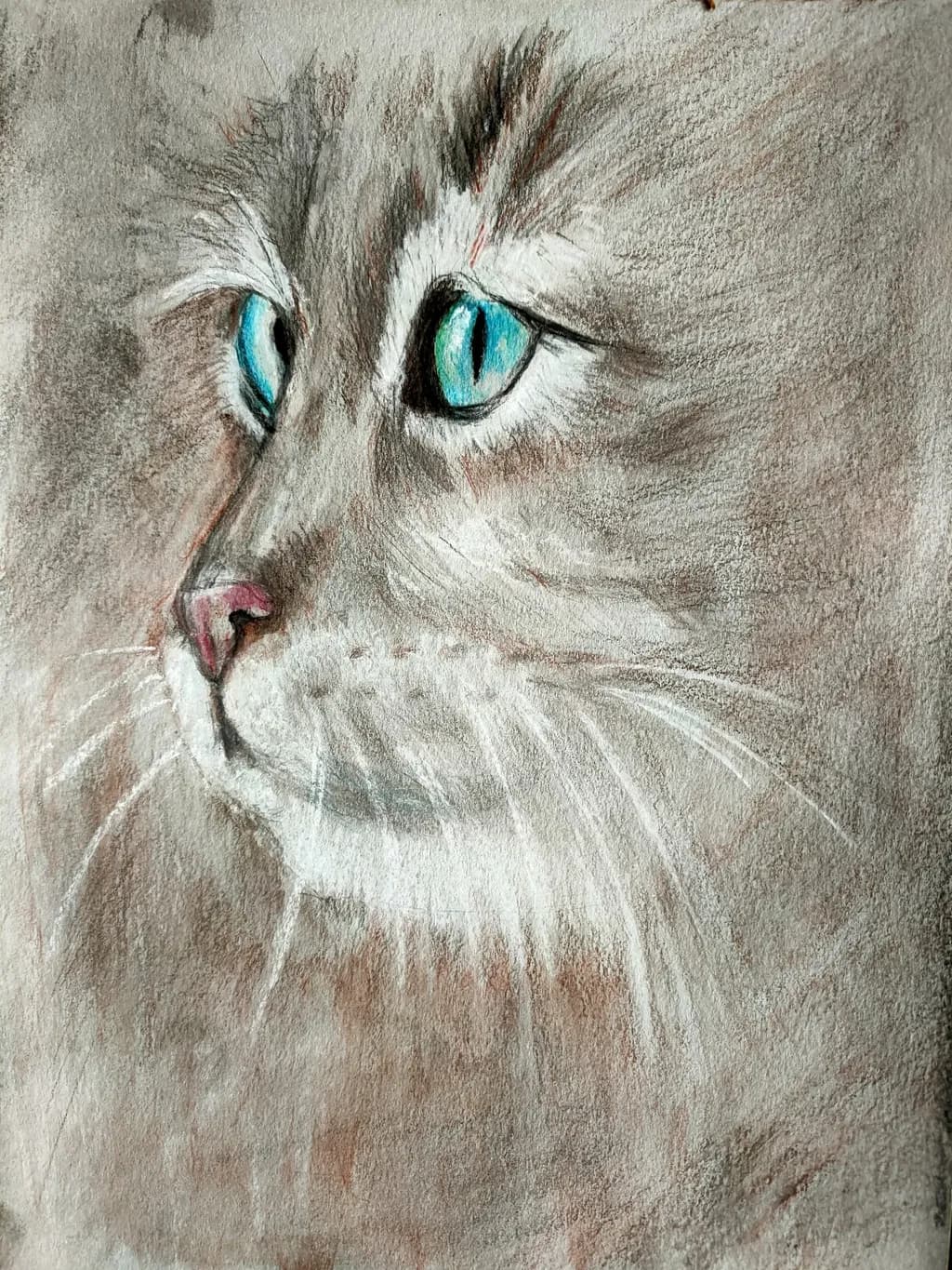Turquoise-Eyed Cat