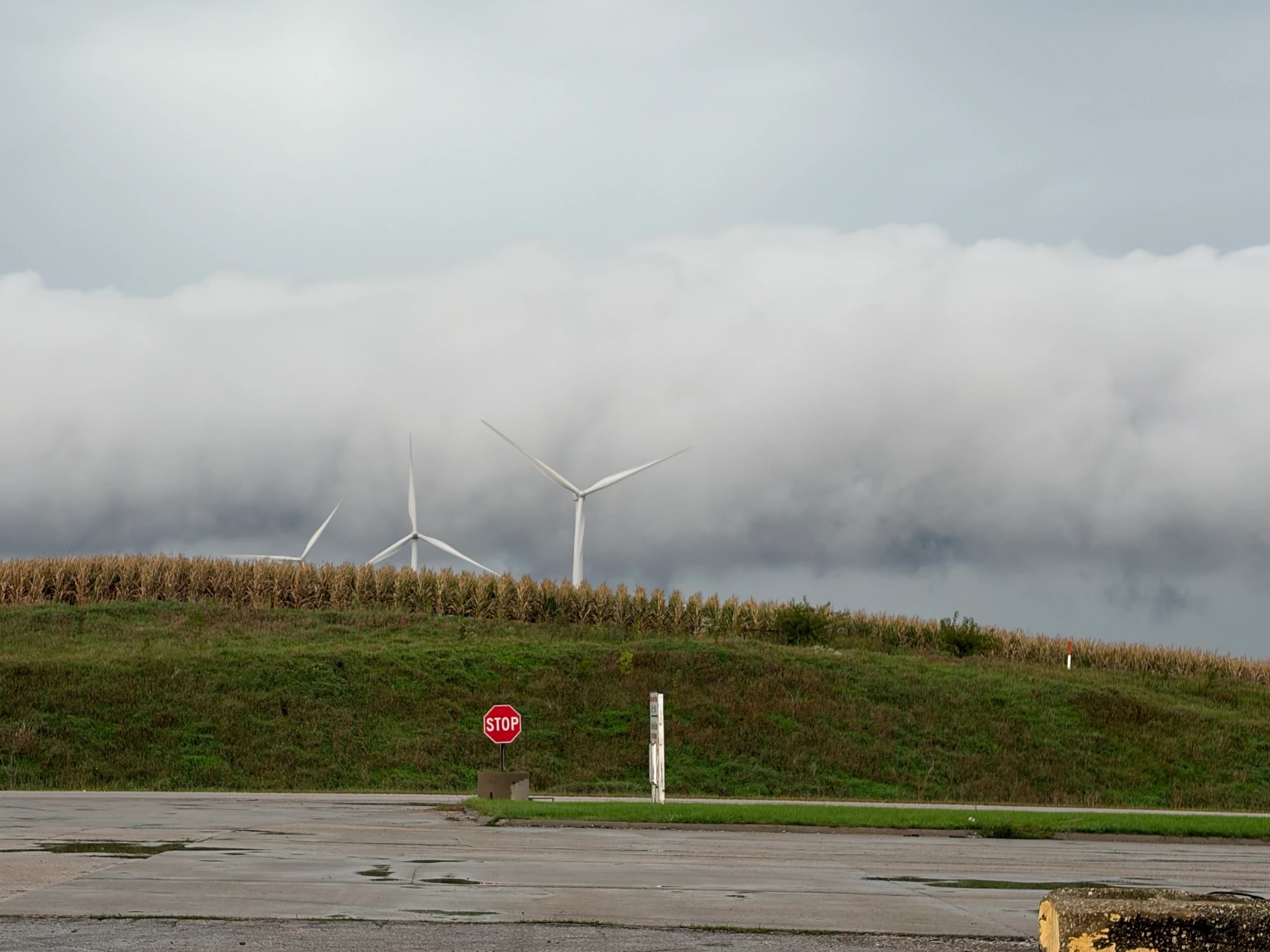 Windmills Above Cornfields