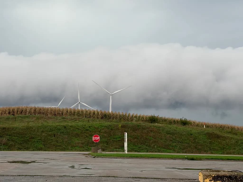 Windmills Above Cornfields