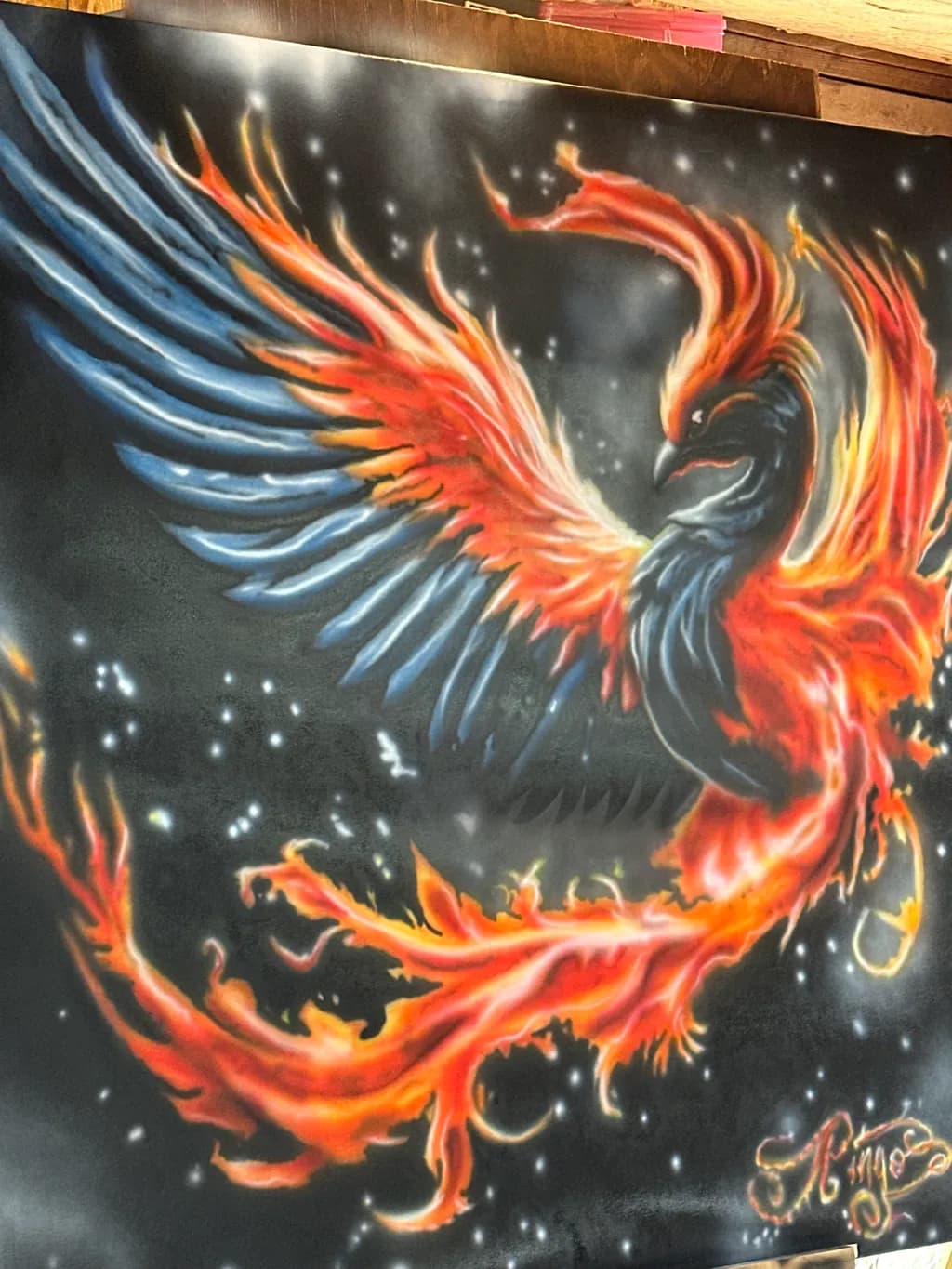 Phoenix in Flight