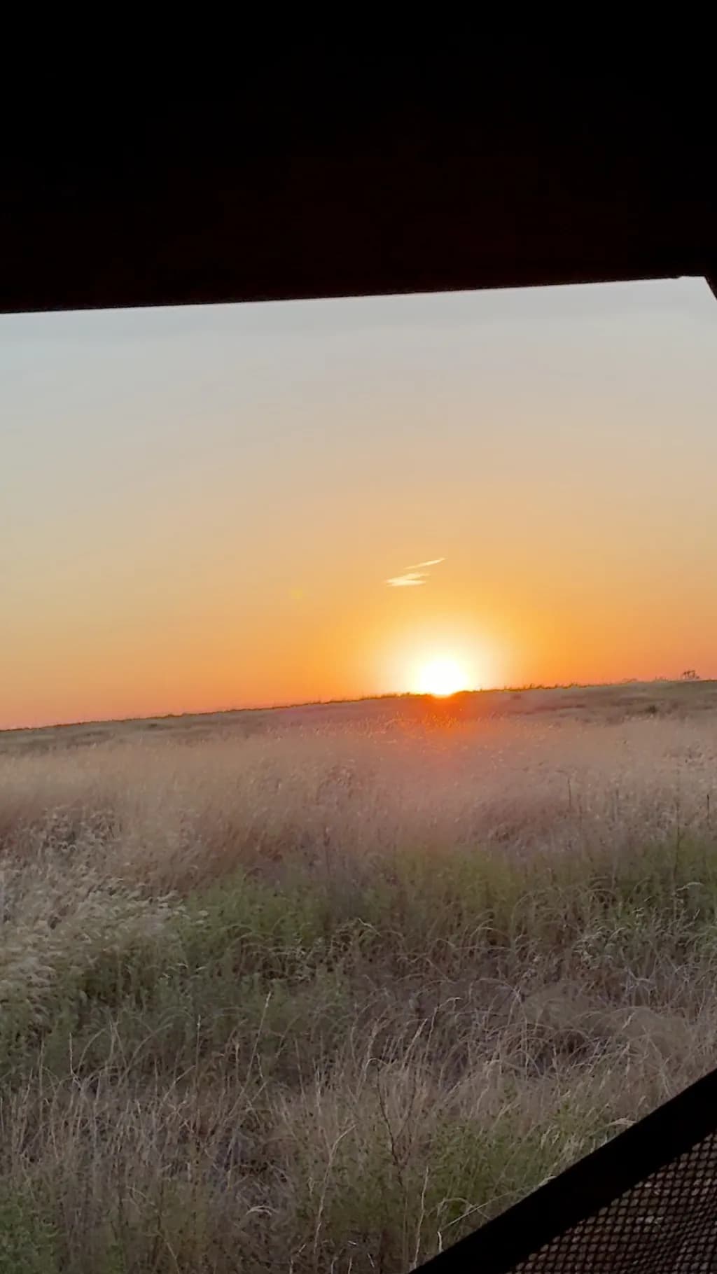 Grassland Sunset