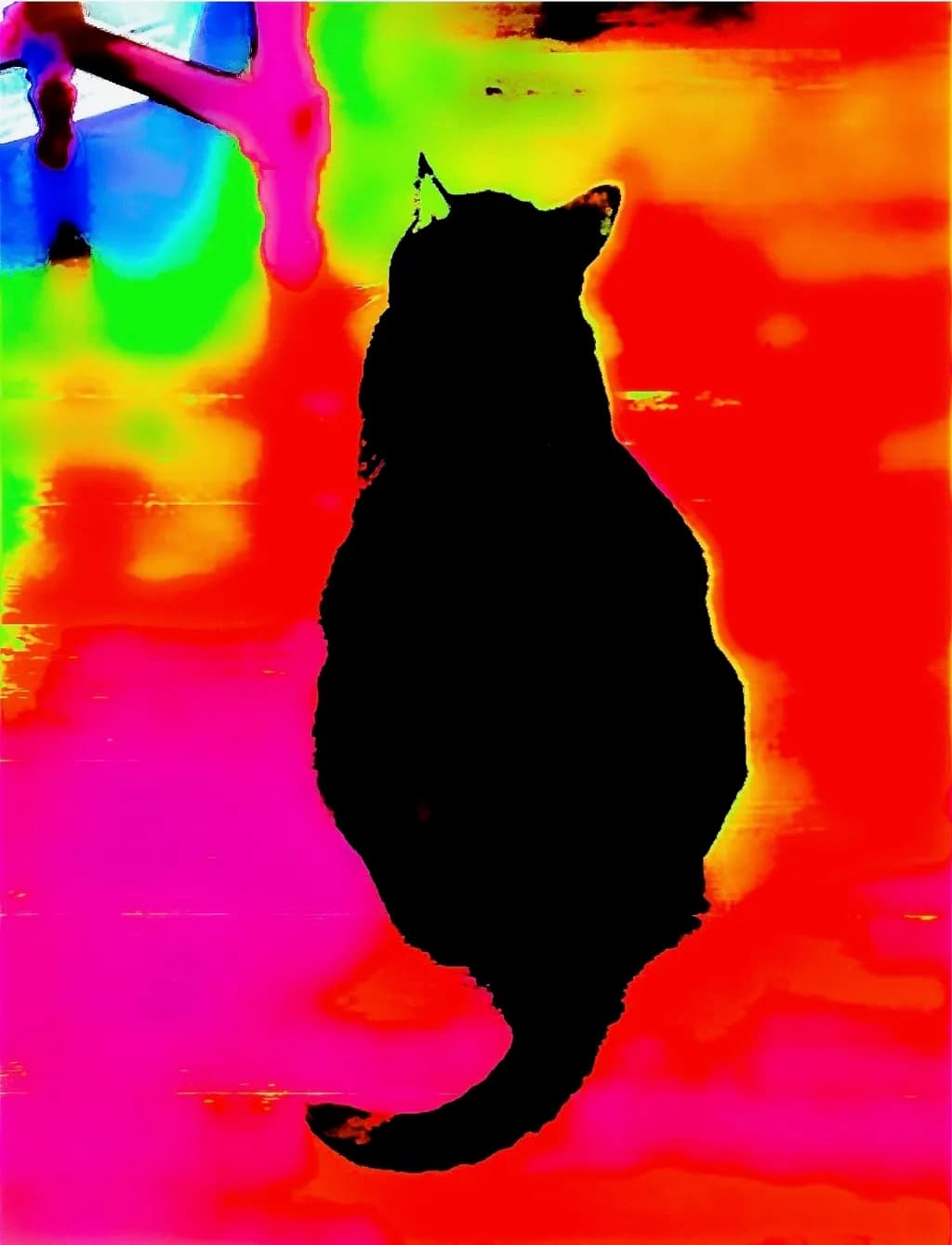 Chromatic Cat Silhouette