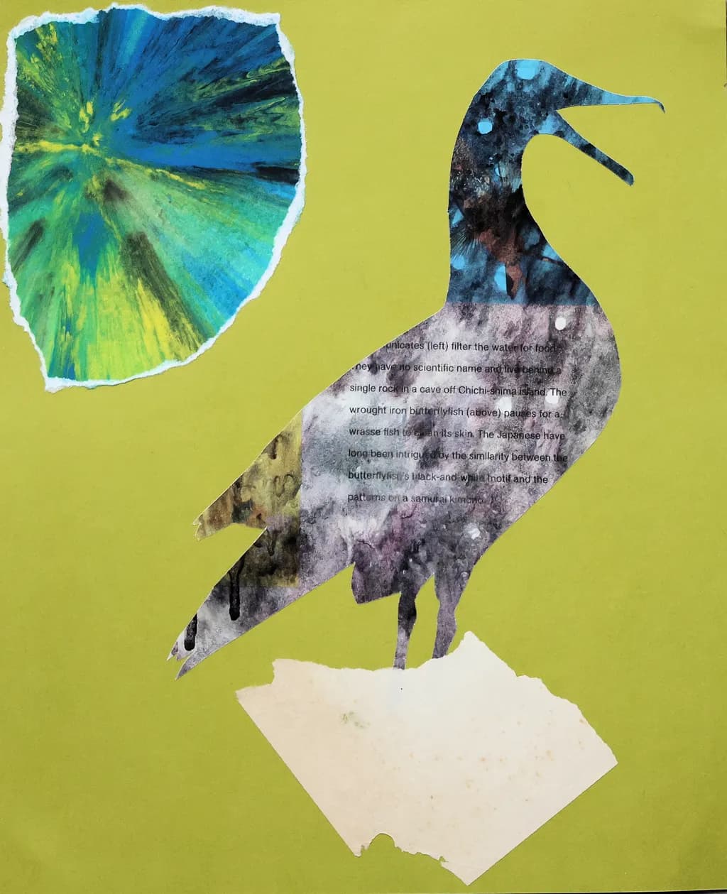Textured Bird Collage