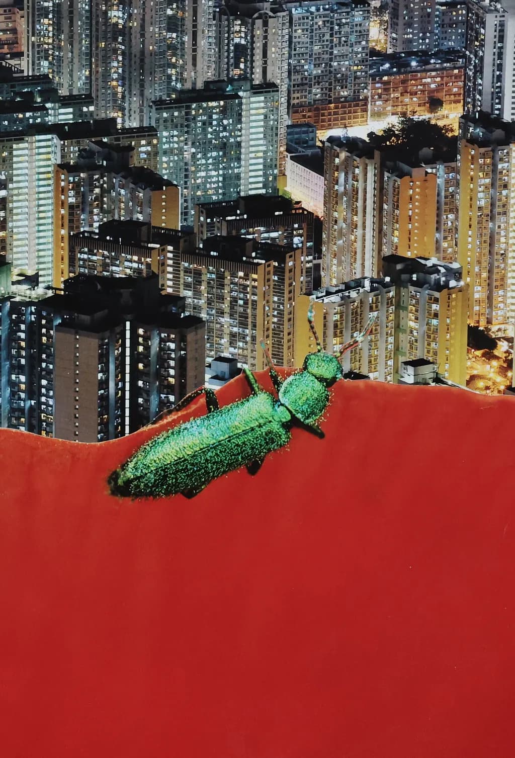 Beetle Above the City