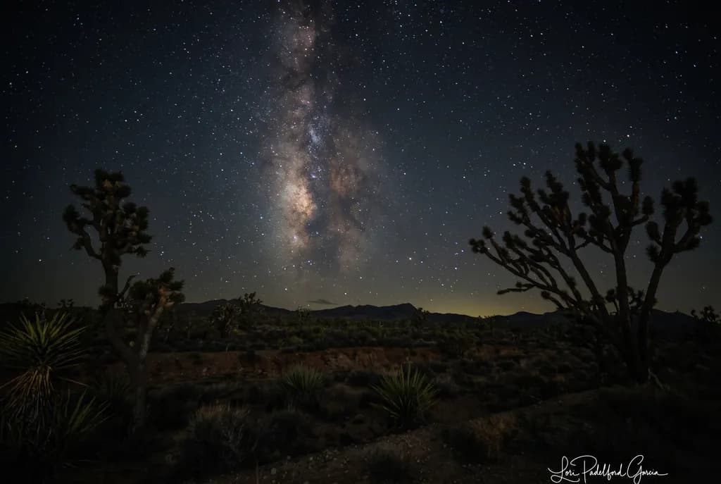 Guardians of the Milky Way