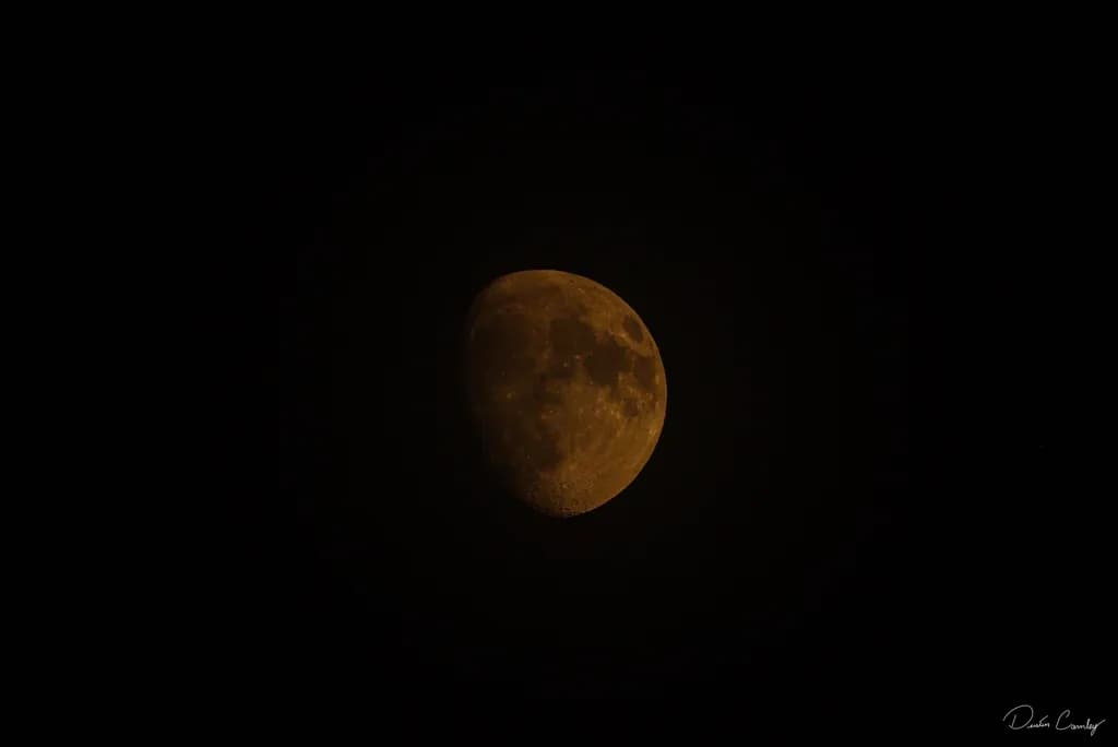 Alone Moon