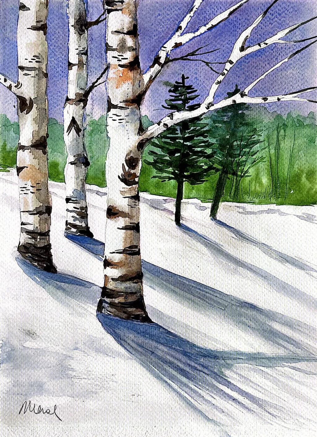 Birches in Snow