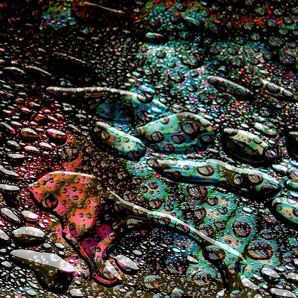 Broken Tree
