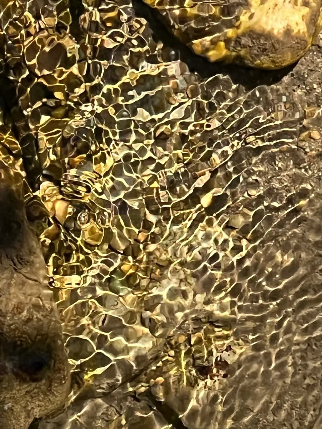 Golden Stone Reflections