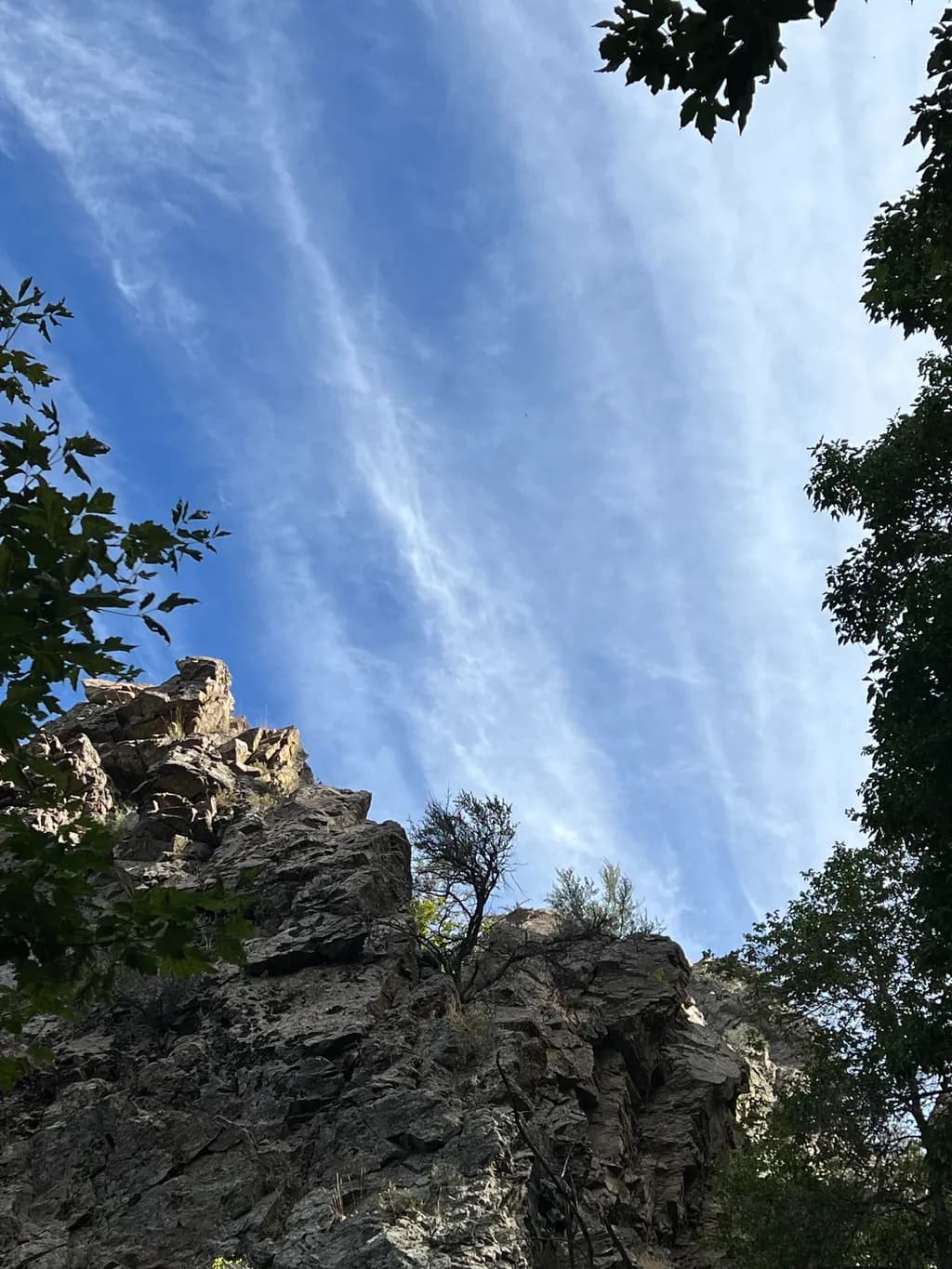 Rocky Canopy Sky