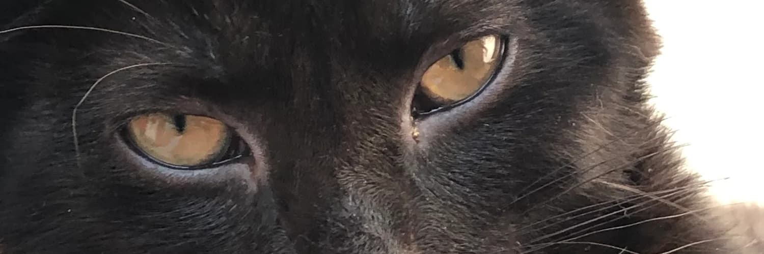 Bannière du profil