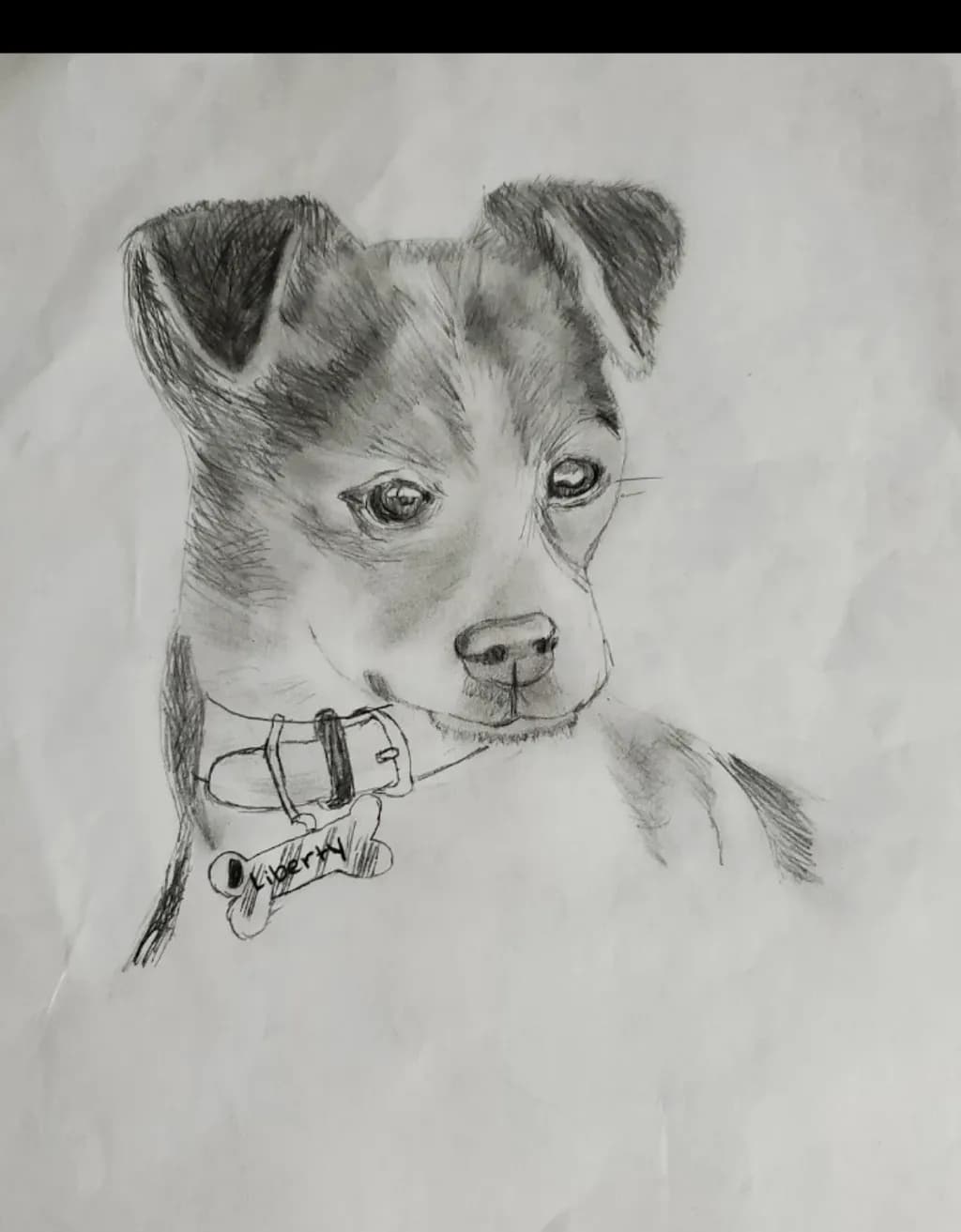 Liberty Puppy Portrait