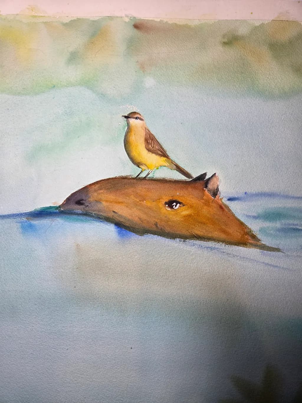 Bird on Driftwood