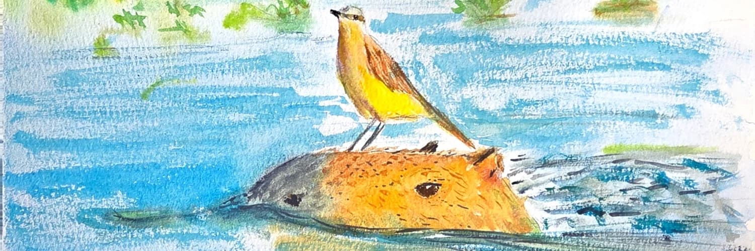 Profile banner