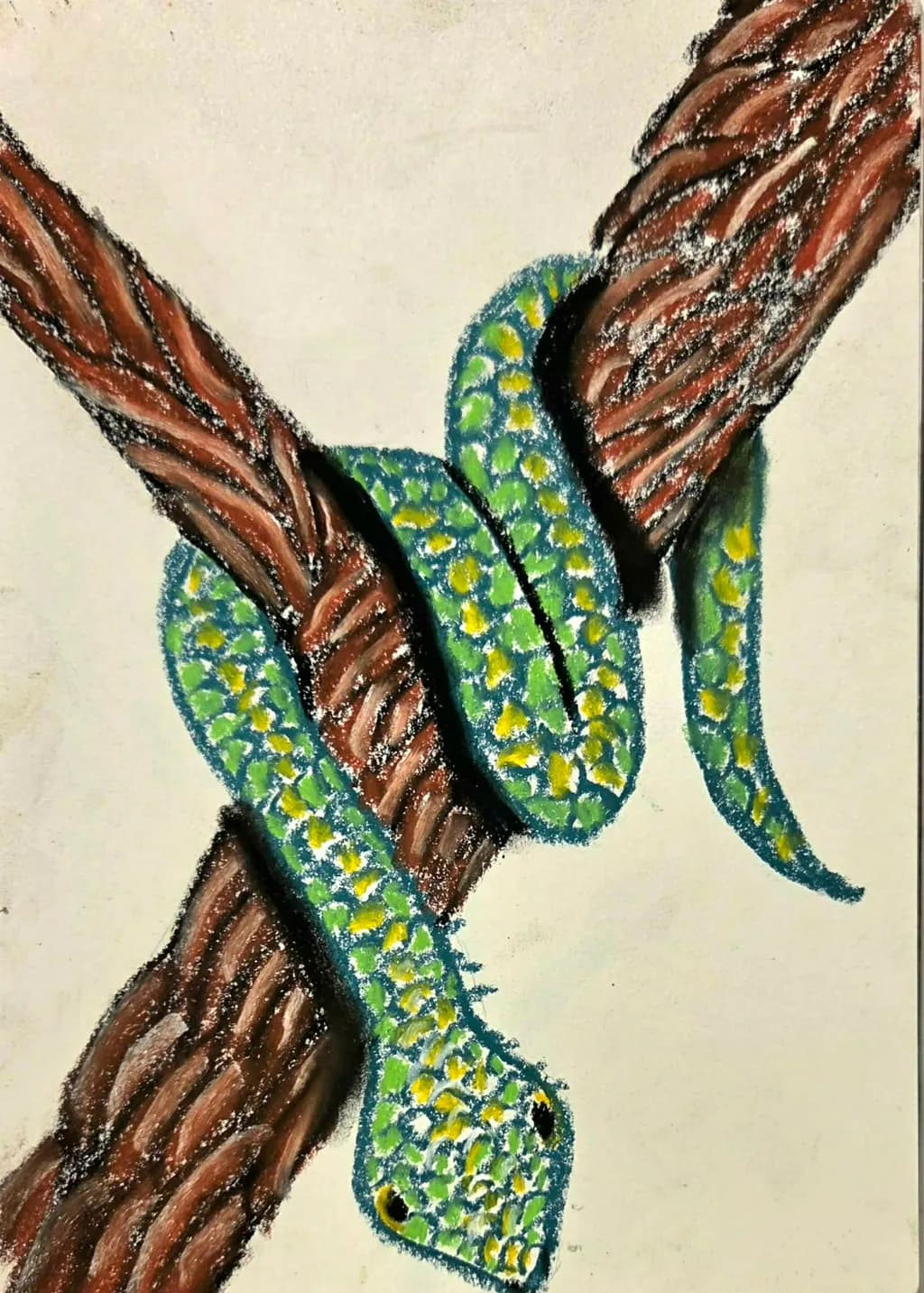 Yellow-Marked Snake Branches