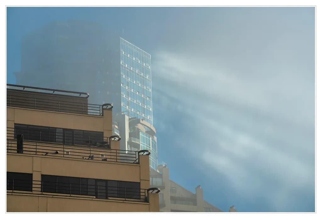 Fog-Kissed Sunbeams