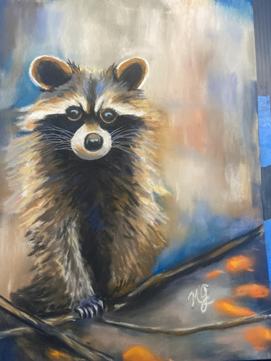 Raccoon on Branch