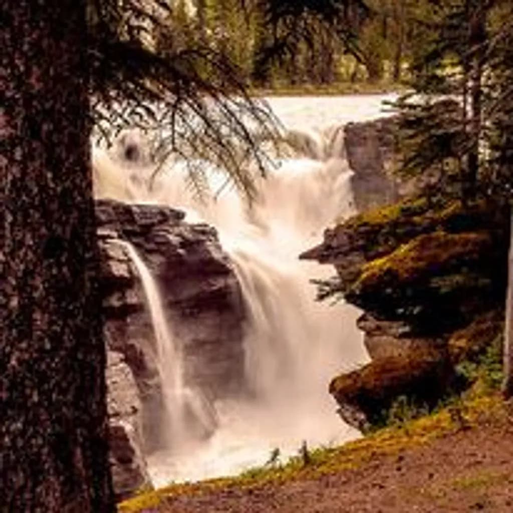 Athabasca Falls