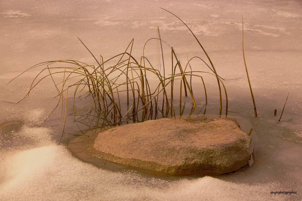 Patricia Lake Rock