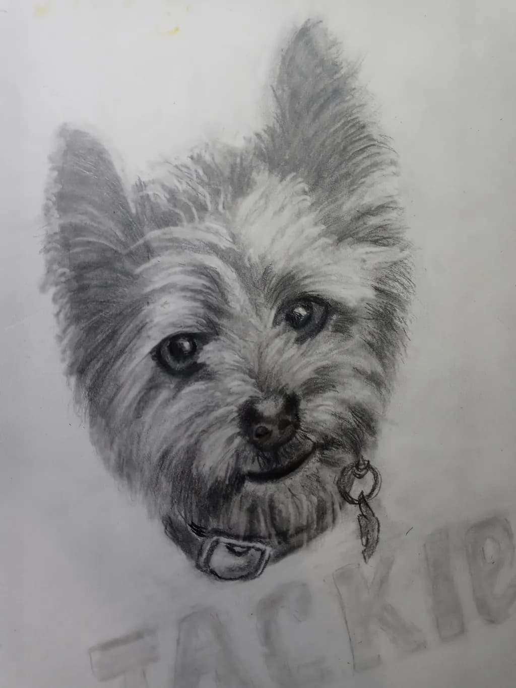 Cheerful Shaggy Portrait