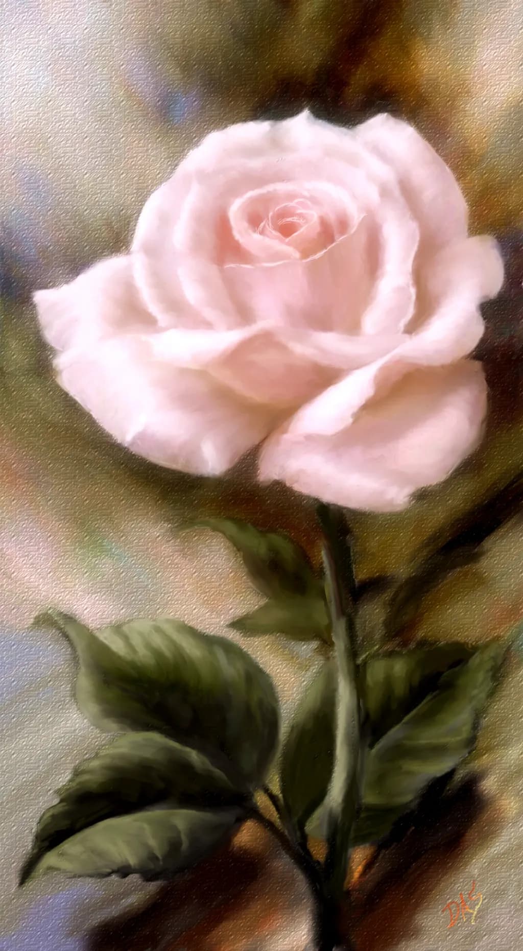 Blush Rose