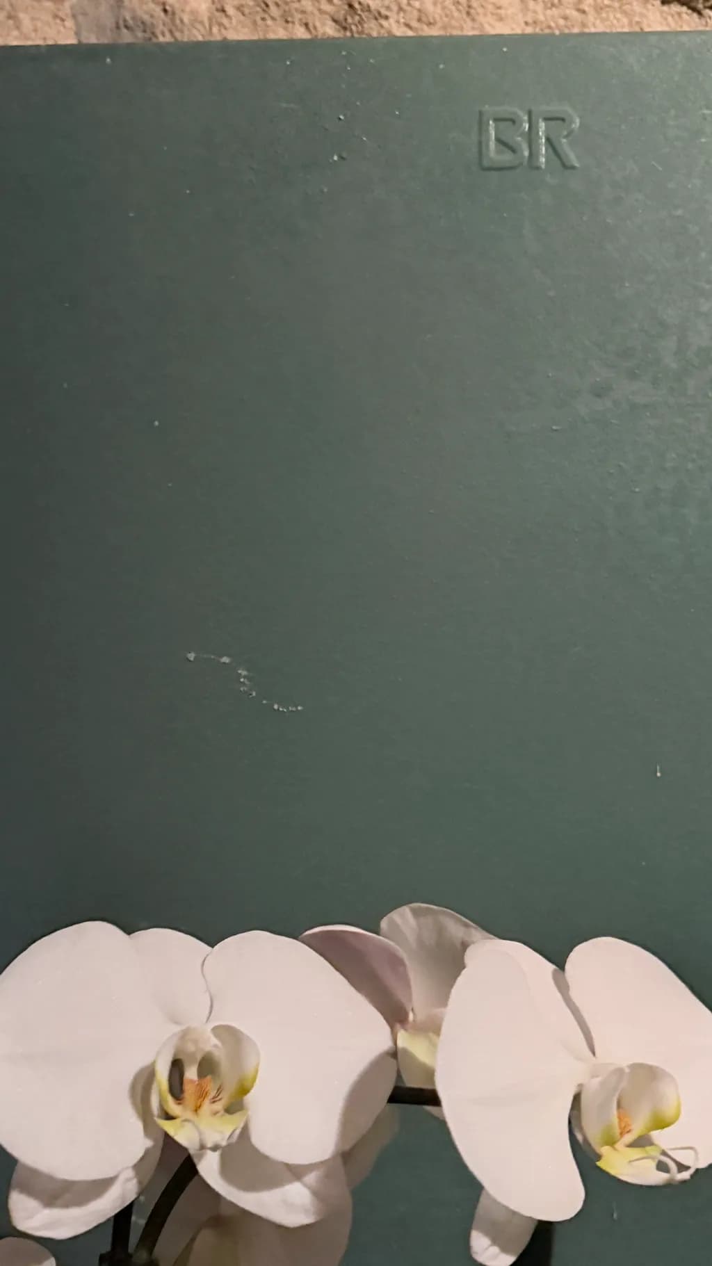 White Orchids on Slate