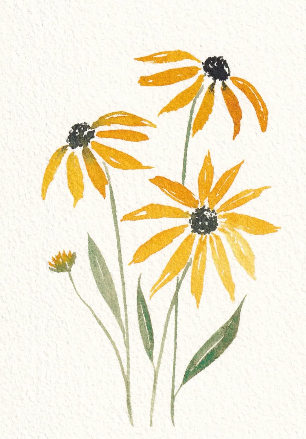 Black Eyed Susans