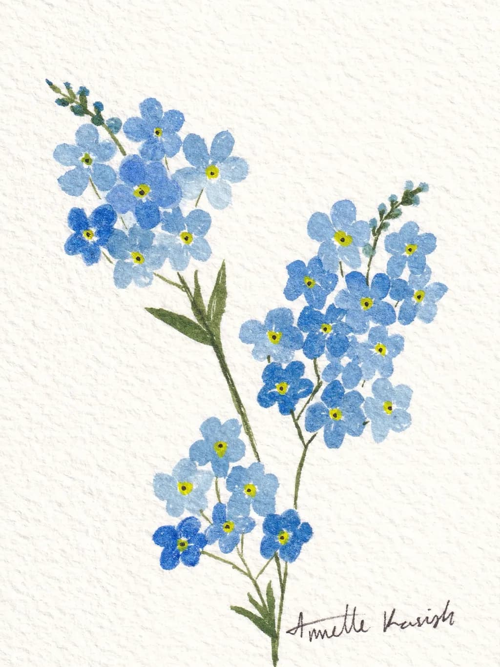 Forget-Me-Nots