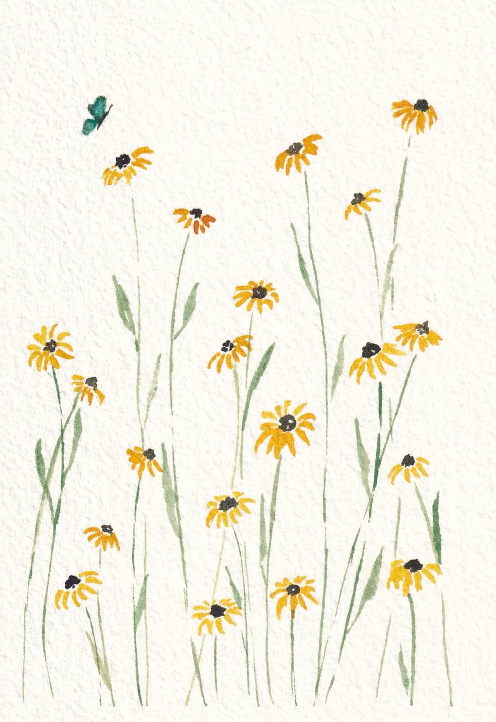 Black Eyed Susan Field