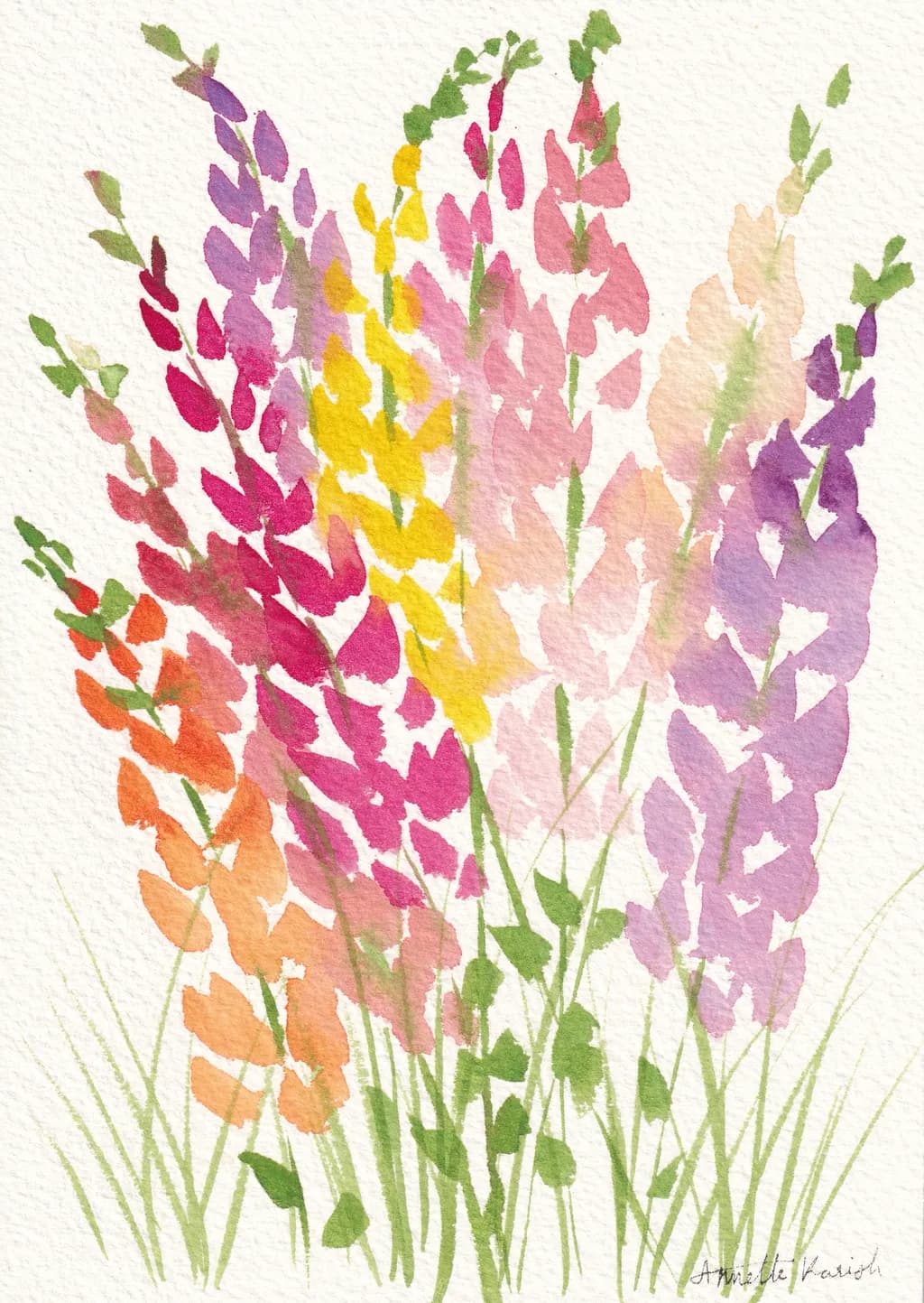 Snapdragons in Bloom