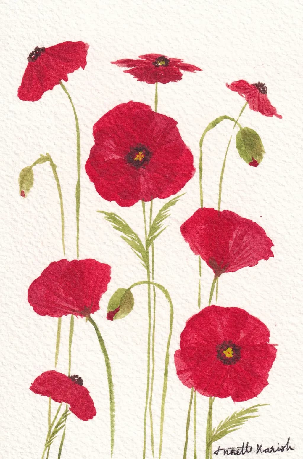 Dancing Poppies