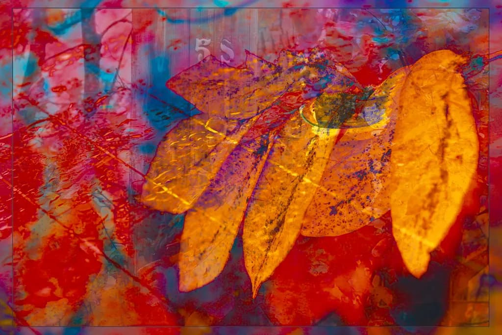 Autumn Leaves in Motion