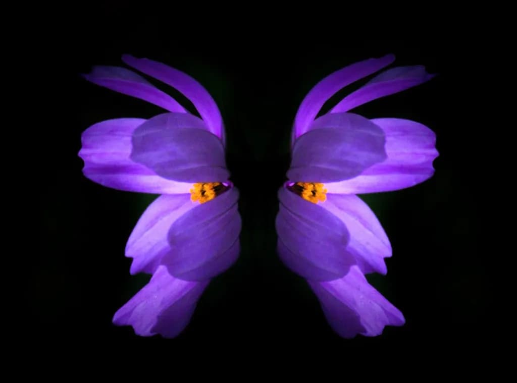 Purple Floral Butterfly