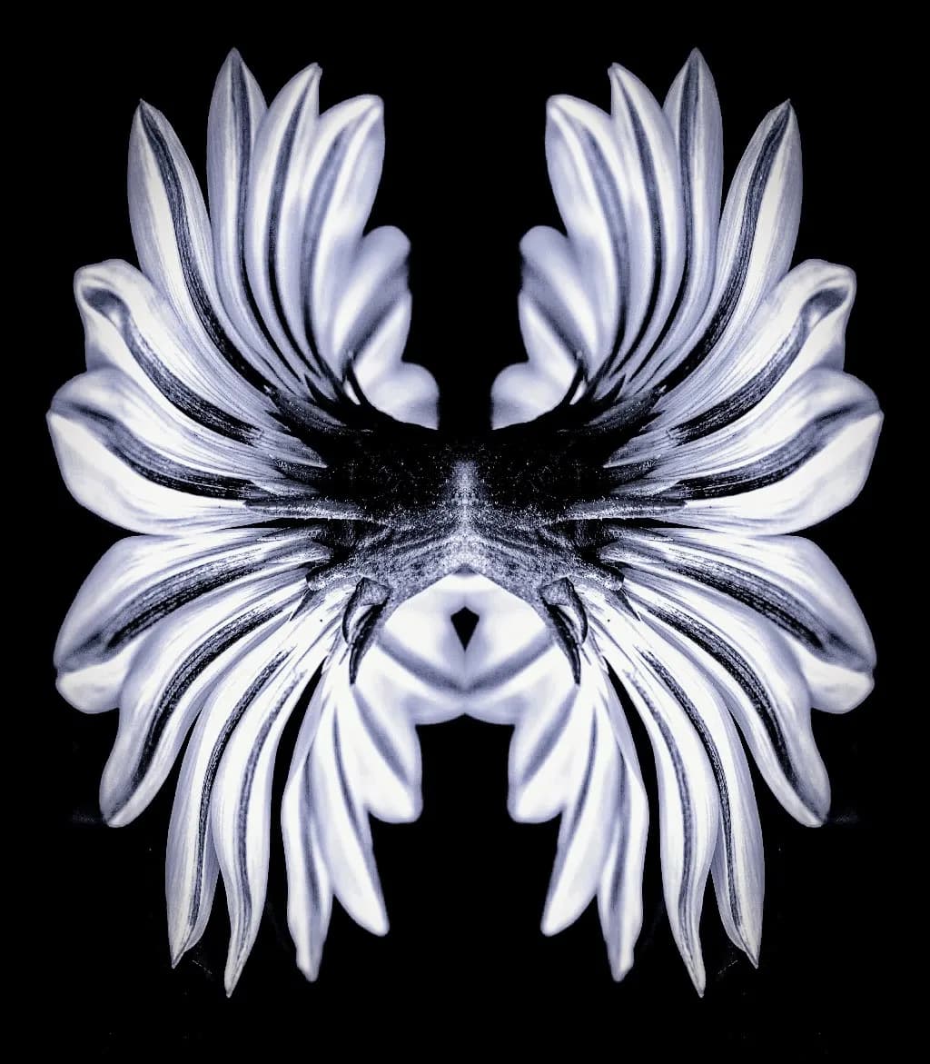 Symmetrical Silver Flower