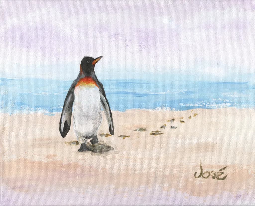 Penguin Beach Walk