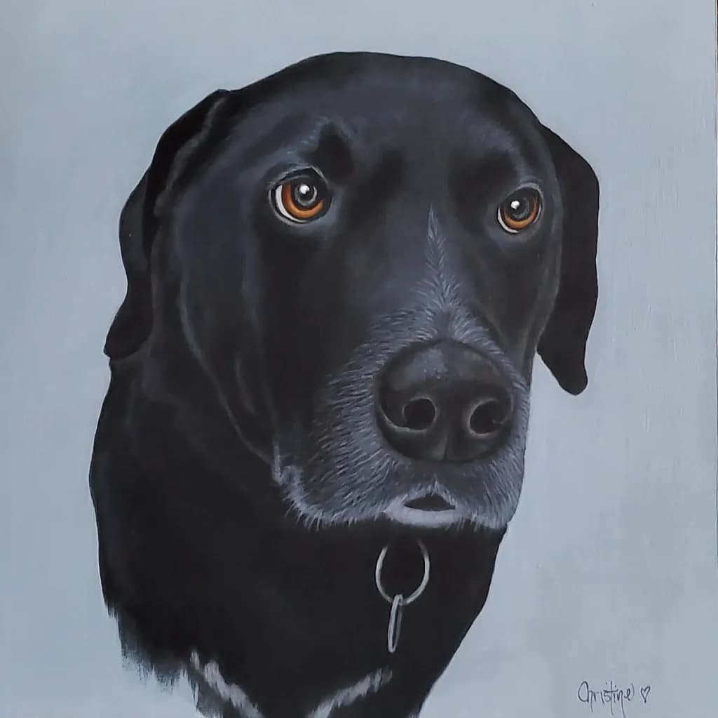 Pet Portrait