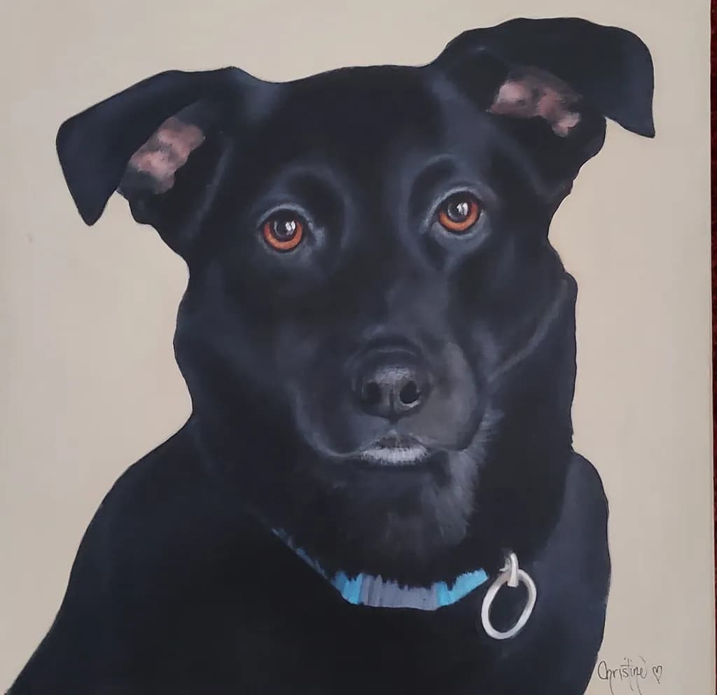 pet portrait