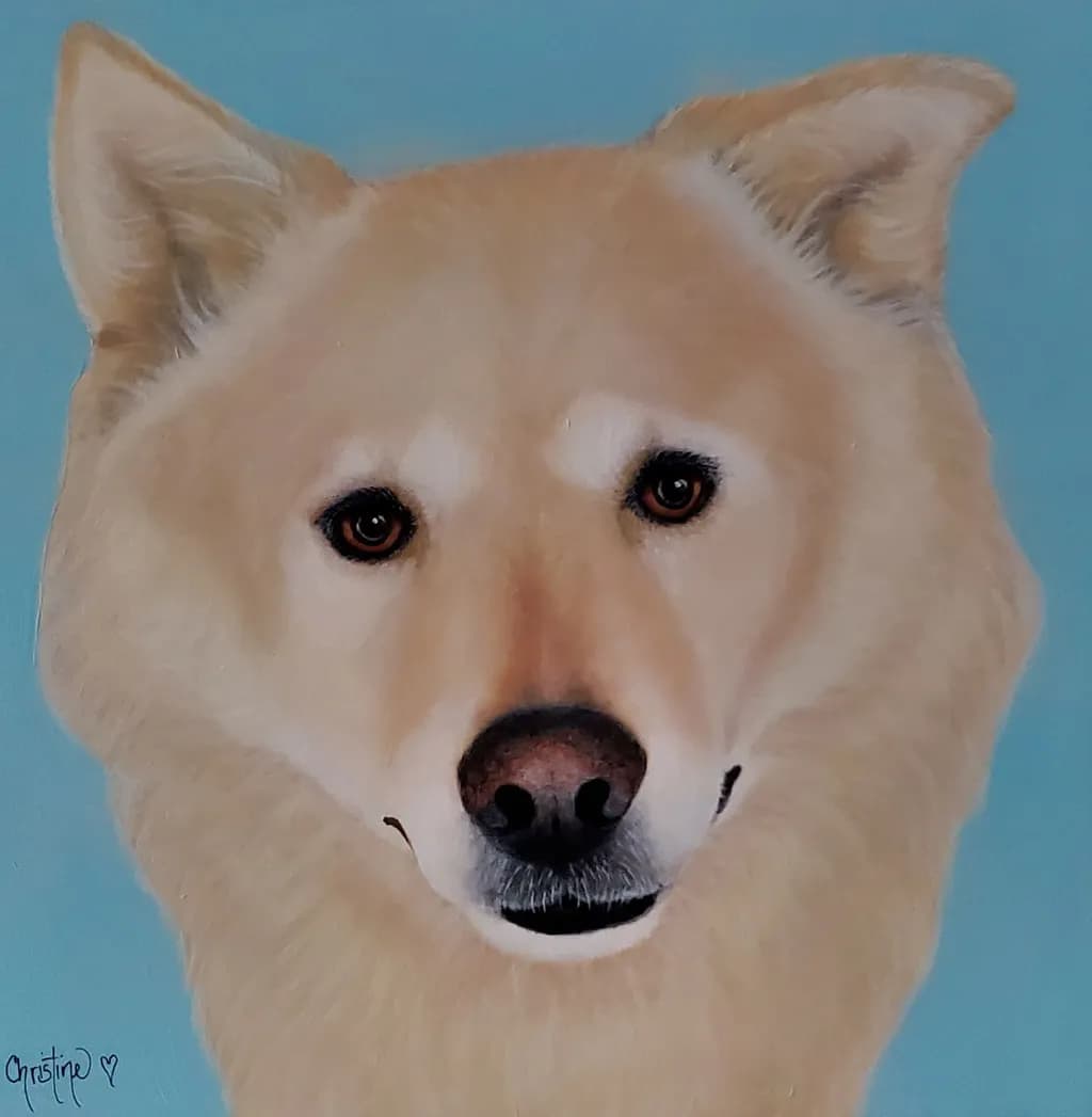 Pet Portrait