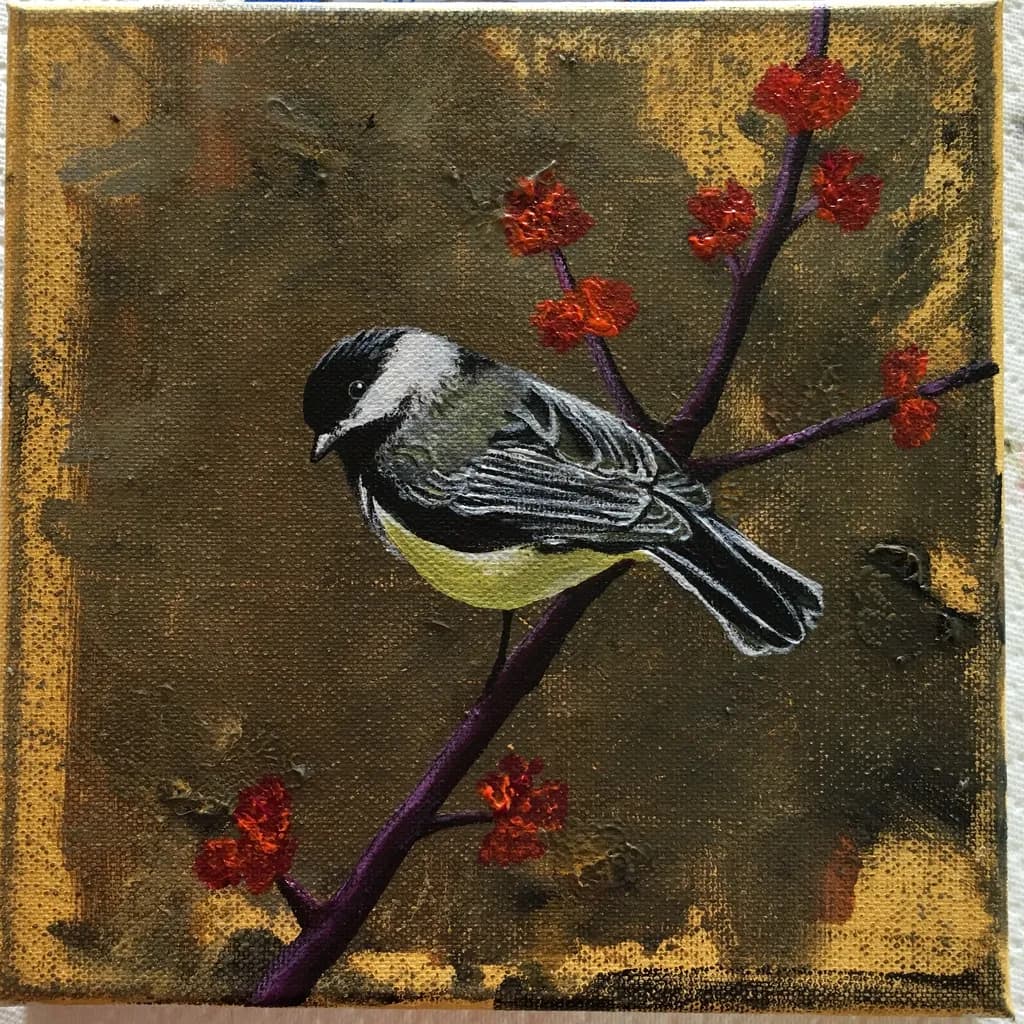 Chickadee afternoon