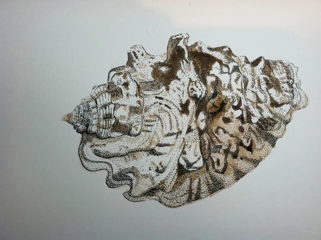 Conch of Fragments