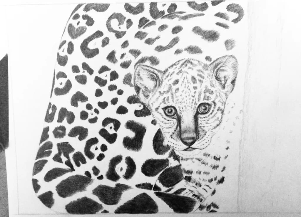 Leopard Cub