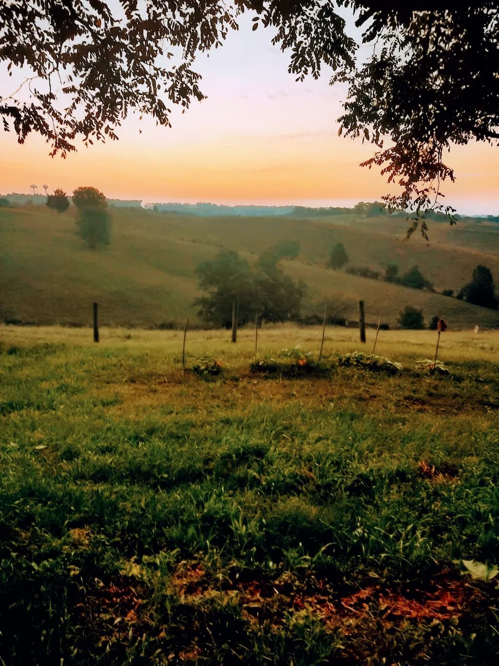 Pastoral Sunset Fields